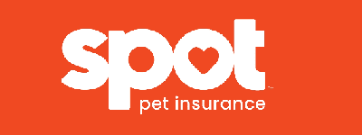 spot-pet-insurance-in-california