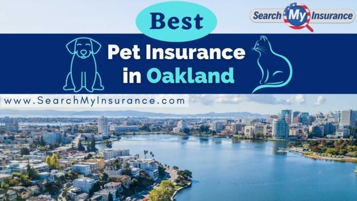 Pet Insurance in Oakland