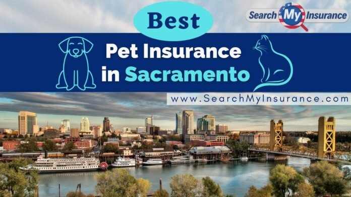 Pet Insurance in Sacramento