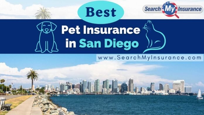 Best Pet Insurance in San Diego