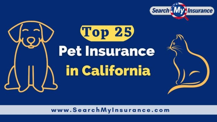 pet insurance in california