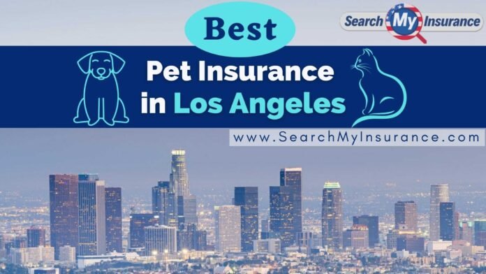 best pet insurance in los angeles